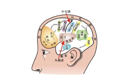 您不知道的几点关于癫痫的病因，了解一下！